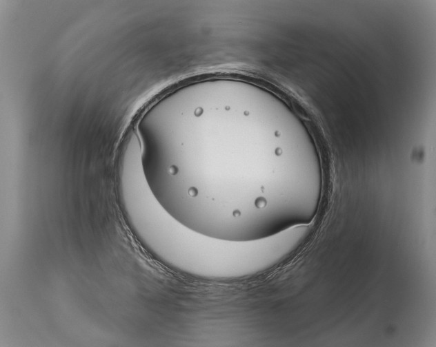 X0000114161316200911051456