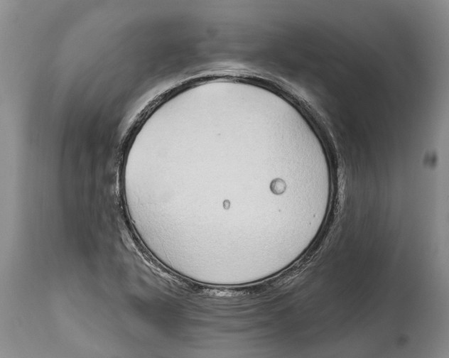 X0000114161318200911051456