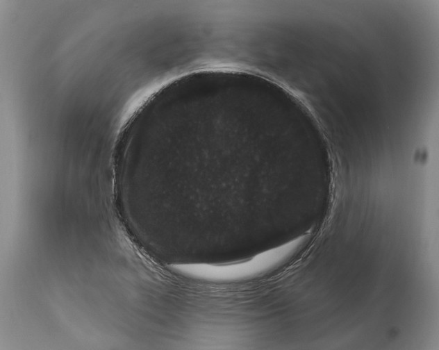 X0000114161319200911051456