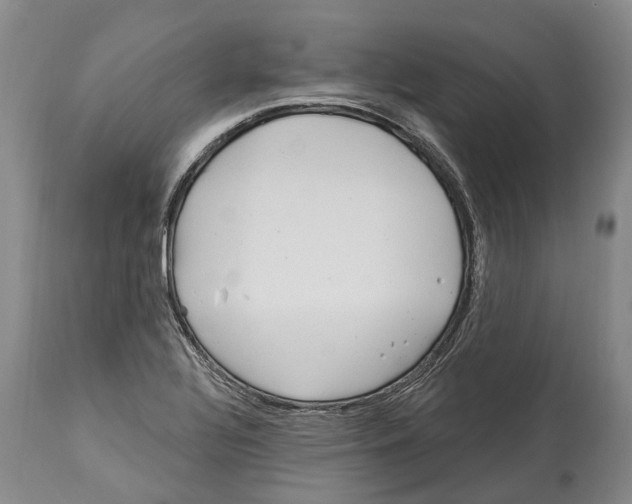 X0000114161320200911051456