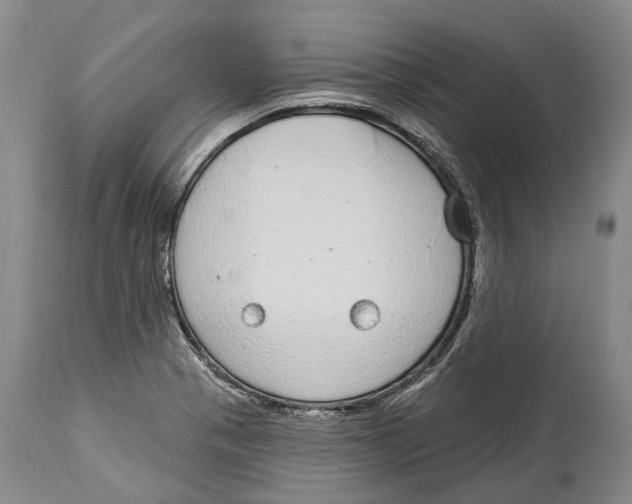 X0000114161321200911051456