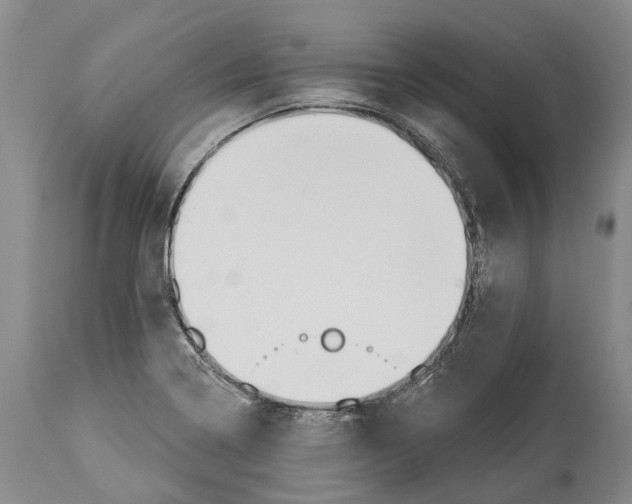 X0000114161322200911051456