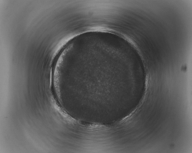 X0000114161323200911051456