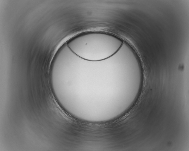 X0000114161324200911051456