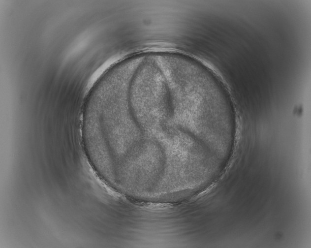 X0000114161325200911051456