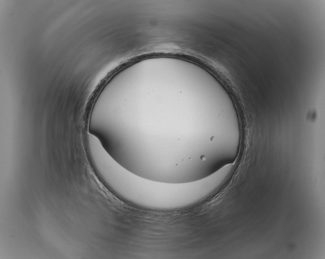 X0000114161326200911051456