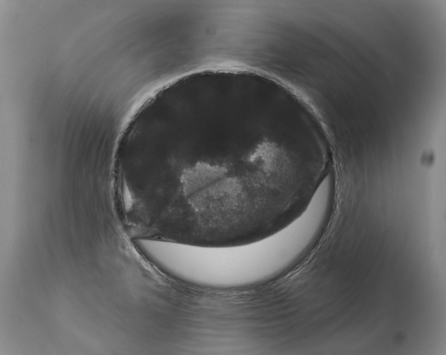 X0000114161327200911051456