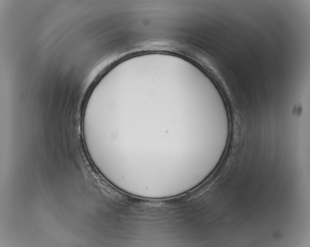 X0000114161328200911051456