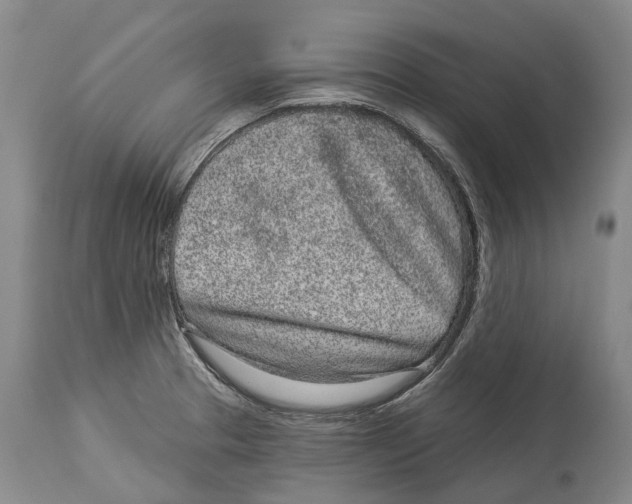 X0000114161329200911051456