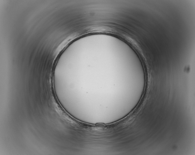 X0000114161330200911051456