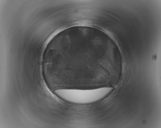 X0000114161331200911051456