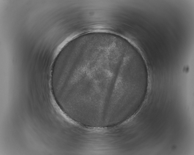 X0000114161333200911051456