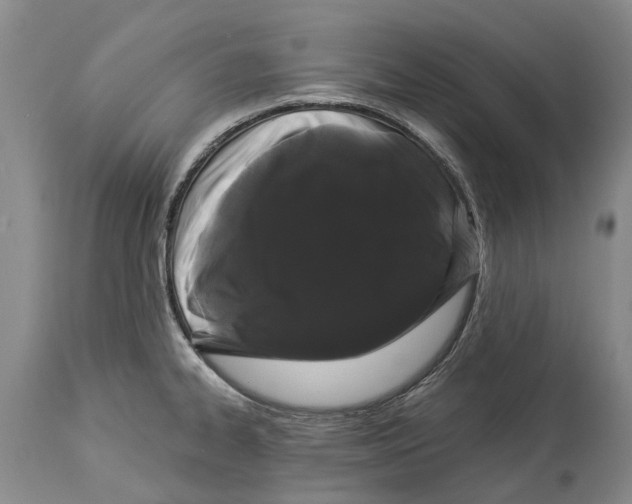 X0000114161334200911051456