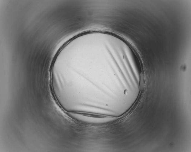 X0000114161335200911051456