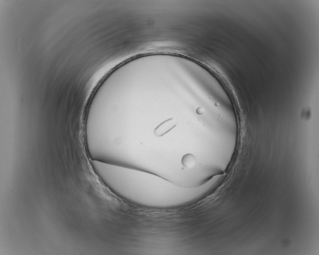 X0000114161336200911051456