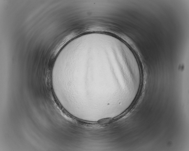 X0000114161337200911051456