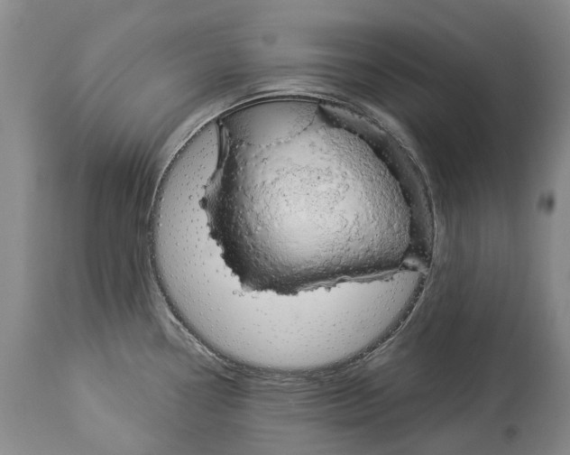 X0000114161338200911051456