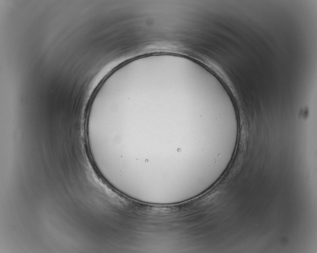 X0000114161339200911051456