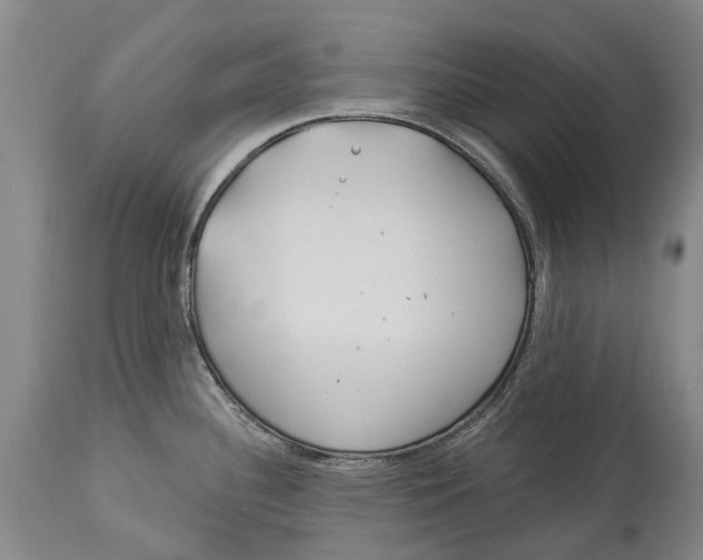 X0000114161340200911051456