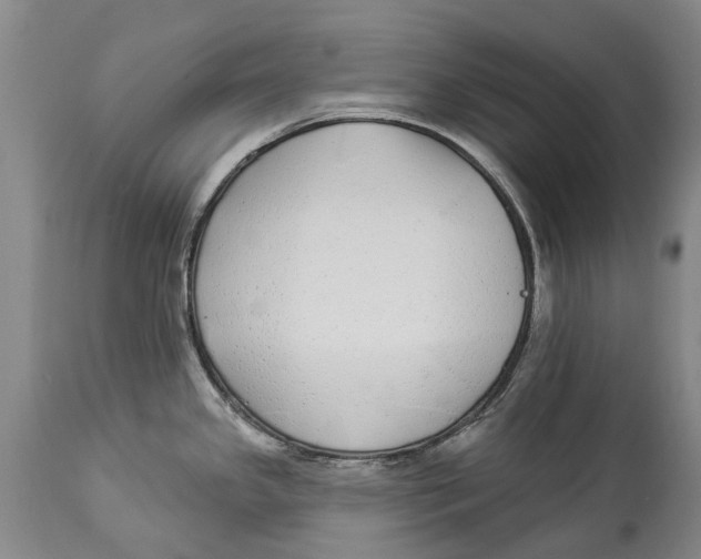 X0000114161341200911051456