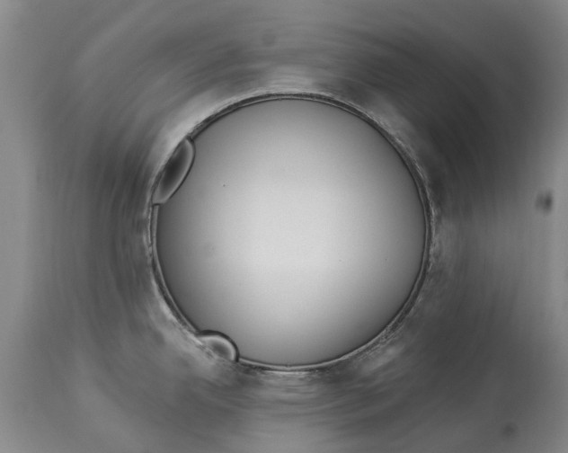 X0000114161342200911051456