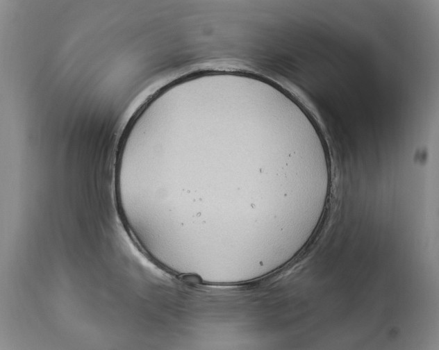 X0000114161343200911051456