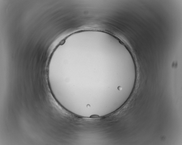 X0000114161344200911051456