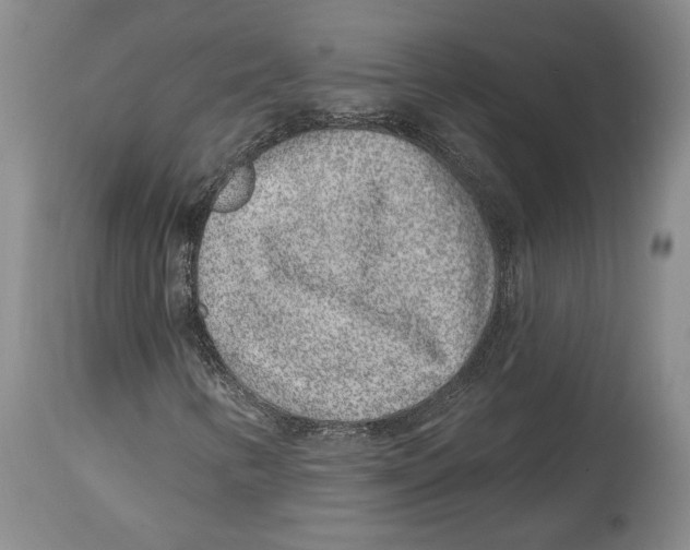 X0000114161346200911051455