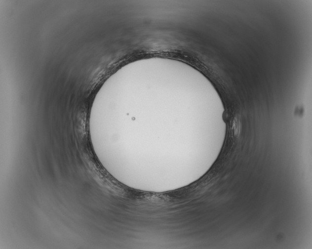 X0000114161348200911051455