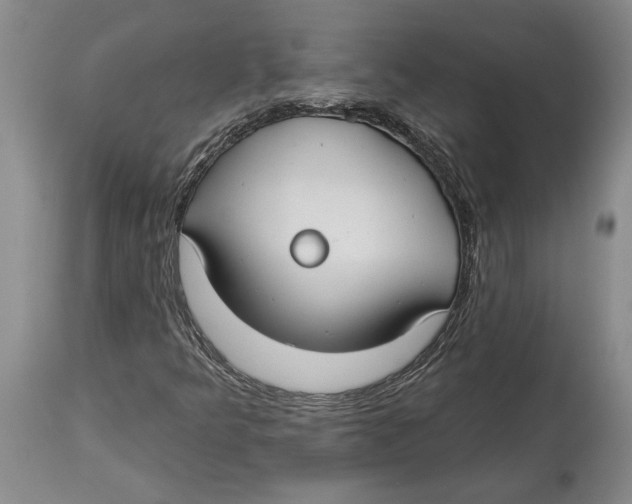 X0000114161349200911051455