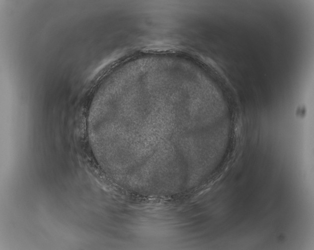 X0000114161350200911051455