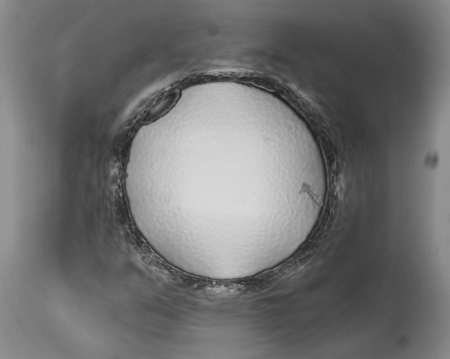 X0000114161351200911051455