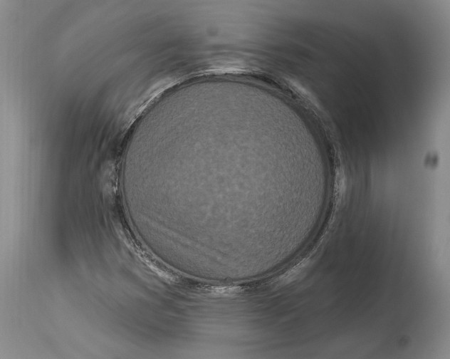 X0000114161353200911051455