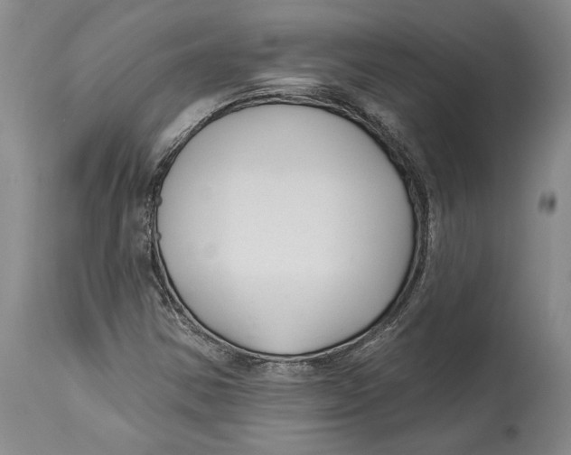 X0000114161354200911051455