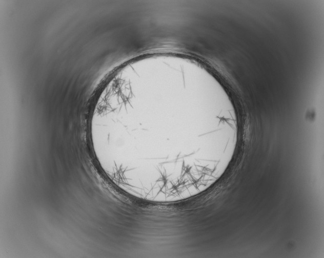 X0000114161356200911051455