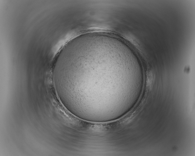 X0000114161357200911051455