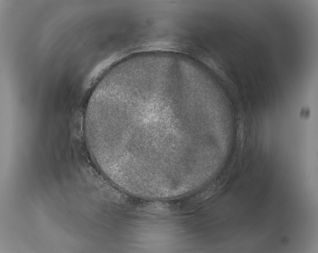 X0000114161358200911051455