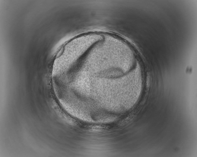 X0000114161359200911051455