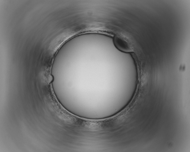 X0000114161361200911051455