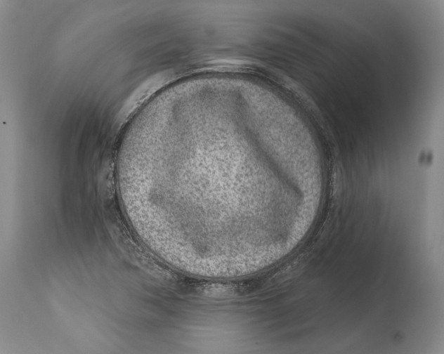 X0000114161362200911051455