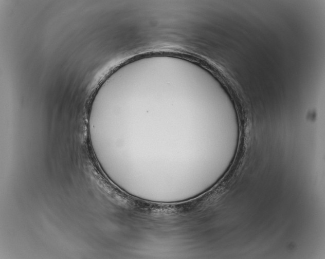 X0000114161363200911051455