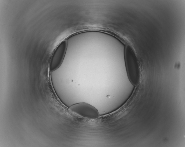 X0000114161365200911051455