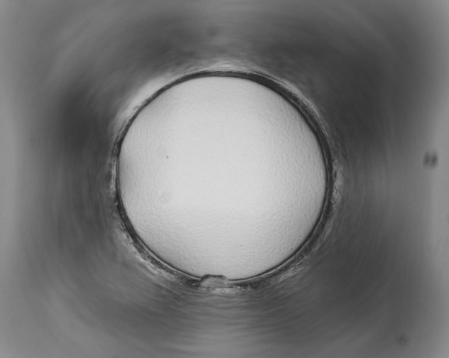 X0000114161367200911051455