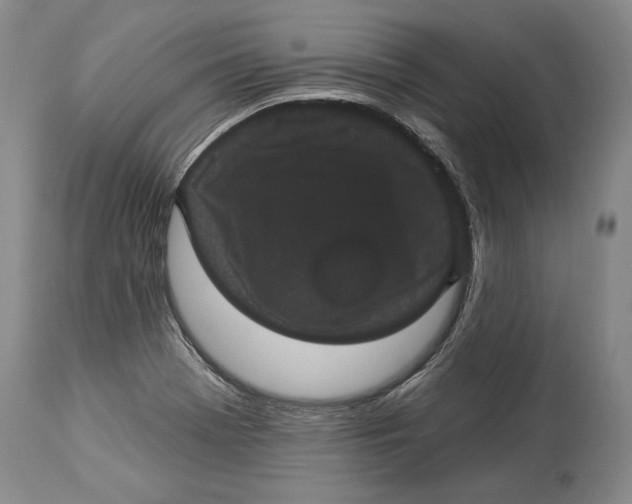 X0000114161369200911051455