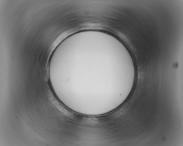 X0000114161370200911051455