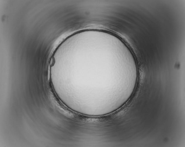 X0000114161371200911051455