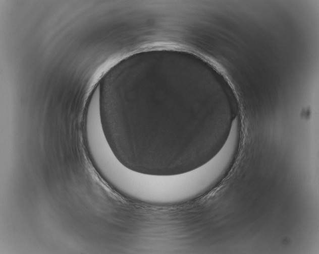 X0000114161373200911051455