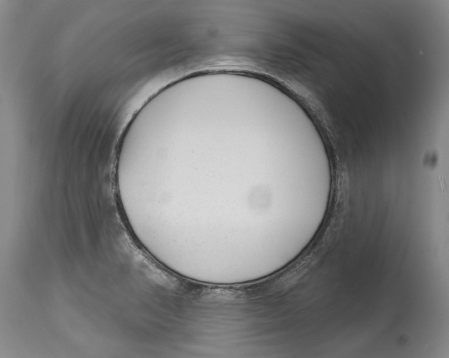 X0000114161374200911051455