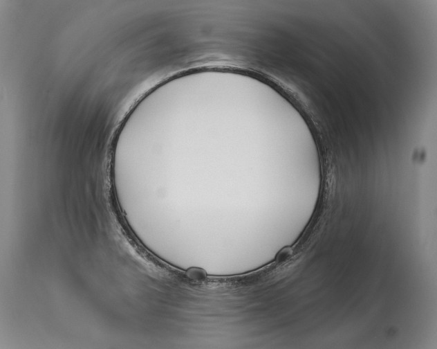 X0000114161375200911051455