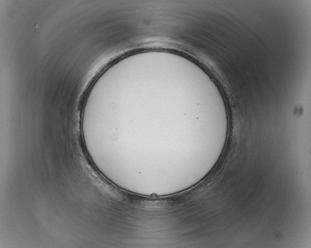 X0000114161376200911051455